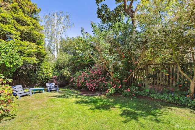 61 Homestead St, San Francisco, CA 94114 - view of yard