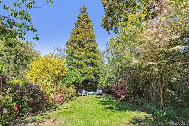 61 Homestead St, San Francisco, CA 94114 - view of grassy yard