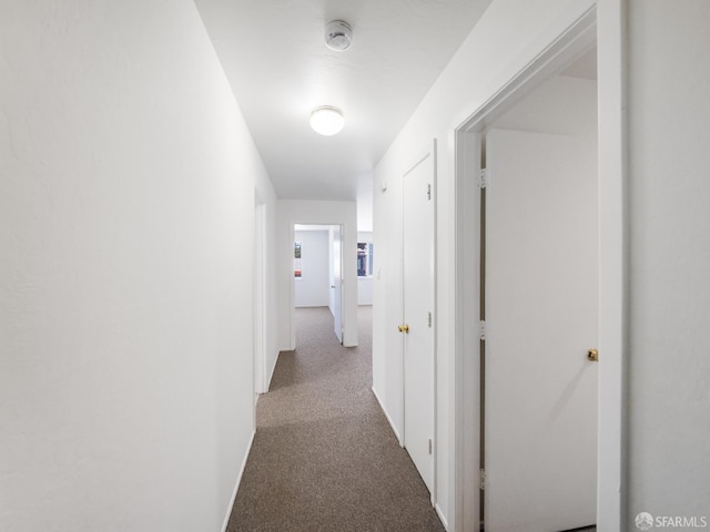 1220 La Playa St Unit 105, San Francisco, CA 94122 - corridor with carpet flooring and baseboards