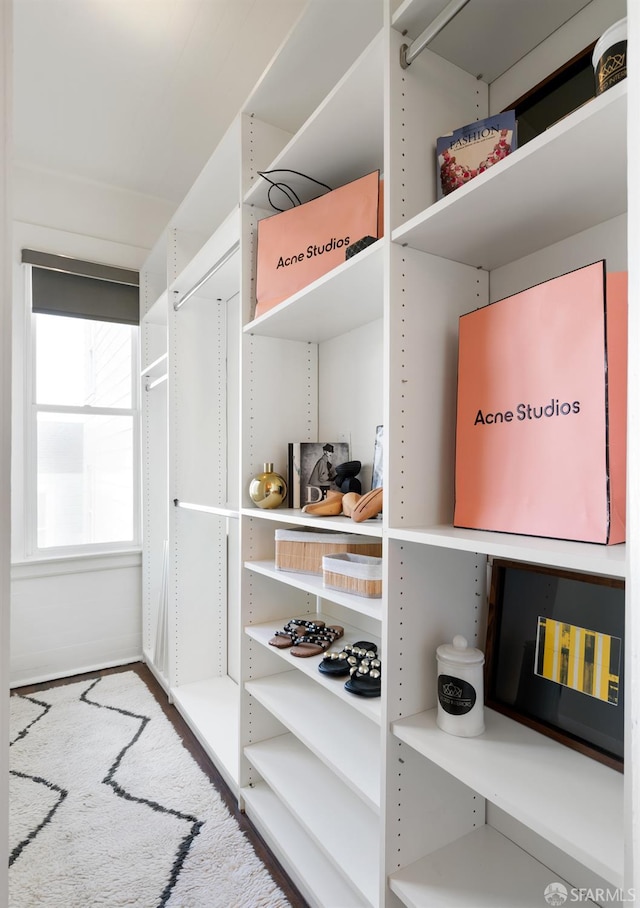 view of spacious closet