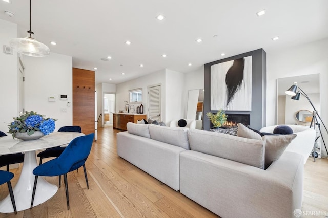 living room featuring a fireplace and light hardwood / wood-style floors