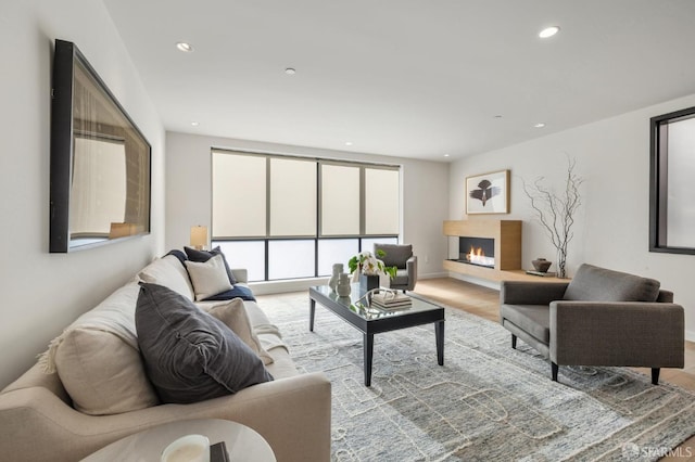 living room featuring light hardwood / wood-style floors