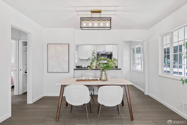 dining room with dark wood-type flooring