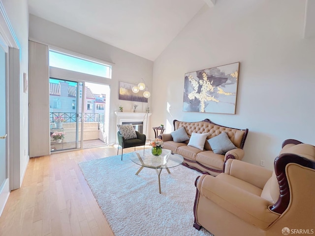 1951 Ofarrell St Unit 420, San Mateo, CA 94403 - living area featuring light wood-style flooring, high vaulted ceiling, and a glass covered fireplace
