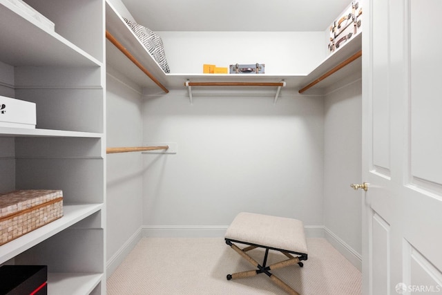 1340 Clay St Unit 302, San Francisco, CA 94109 - spacious closet featuring carpet floors