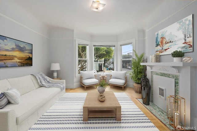 living room with light wood-type flooring