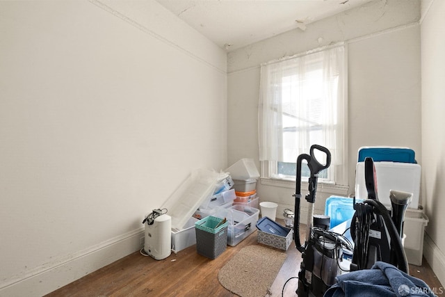 miscellaneous room with wood-type flooring and a wealth of natural light