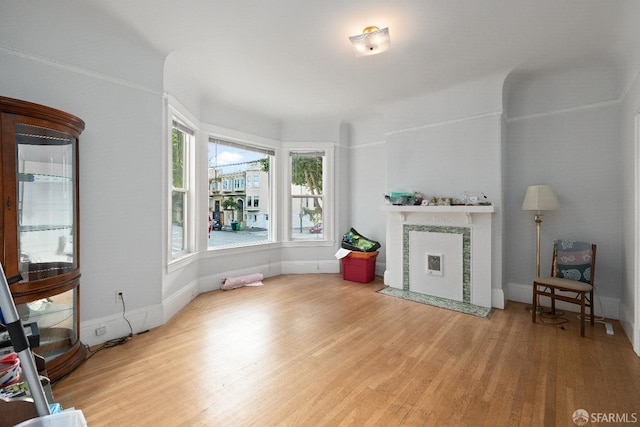 living room featuring wood-type flooring and a tiled fireplace