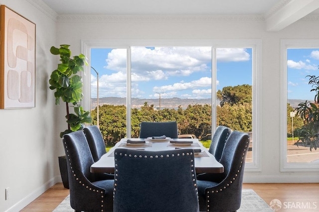 sunroom with a healthy amount of sunlight and a mountain view