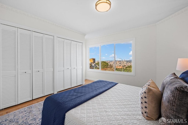 bedroom featuring multiple closets and wood finished floors