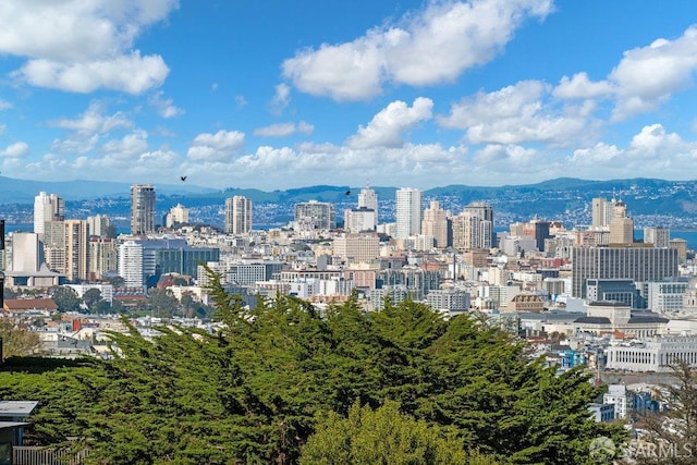 city view with a mountain view