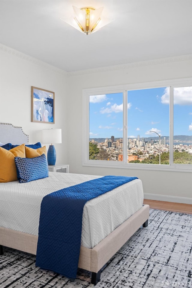 bedroom featuring baseboards, a city view, and wood finished floors