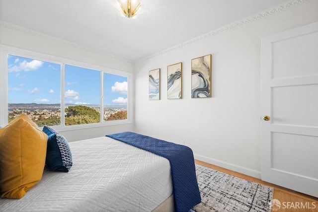 bedroom featuring baseboards and wood finished floors