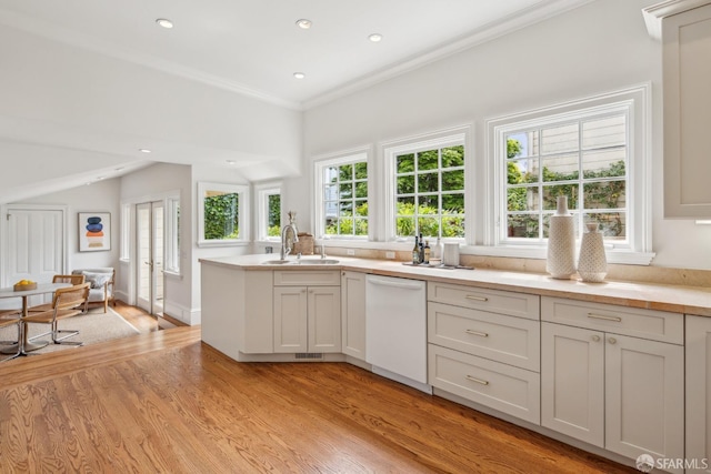 kitchen with light wood-type flooring, a sink, dishwasher, and a wealth of natural light