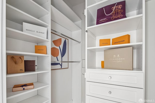 view of spacious closet