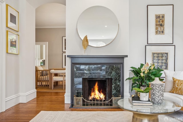 living room with crown molding, baseboards, wood finished floors, and a premium fireplace