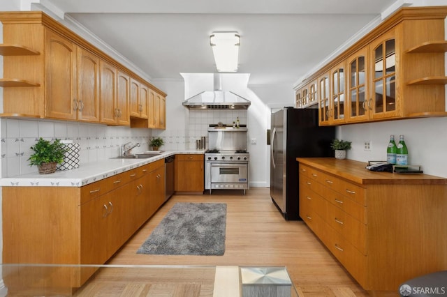 kitchen featuring open shelves, appliances with stainless steel finishes, a sink, and wall chimney exhaust hood