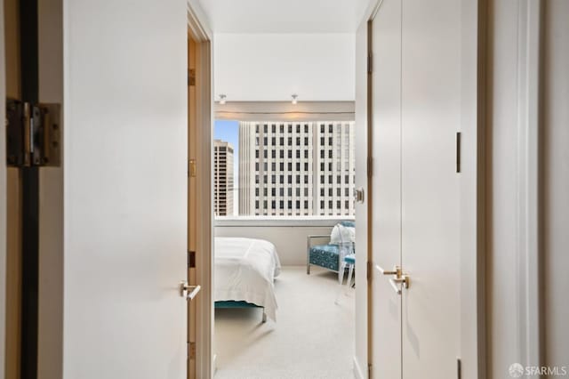 bedroom featuring carpet and baseboards