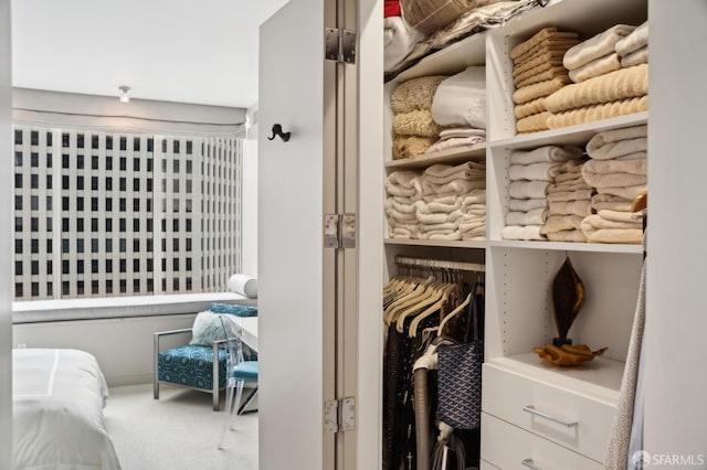 view of closet