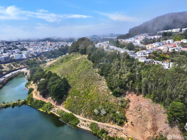 173 Warren Dr, San Francisco, CA 94131 - aerial view of property's location with a nearby body of water