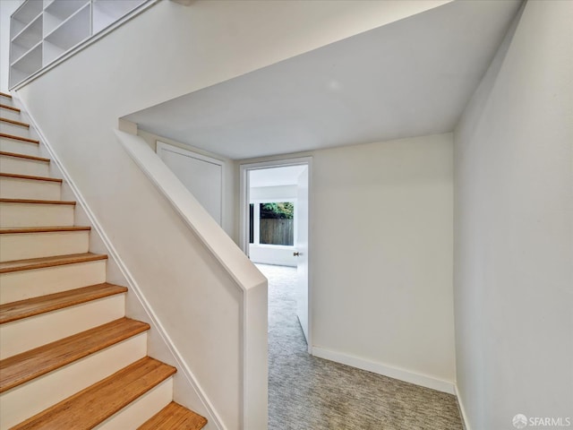 173 Warren Dr, San Francisco, CA 94131 - stairs featuring carpet flooring and baseboards