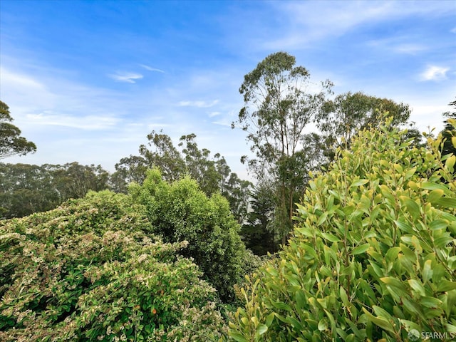 173 Warren Dr, San Francisco, CA 94131 - view of undeveloped land