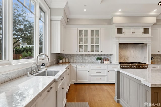 kitchen featuring backsplash, light stone counters, white cabinetry, and sink