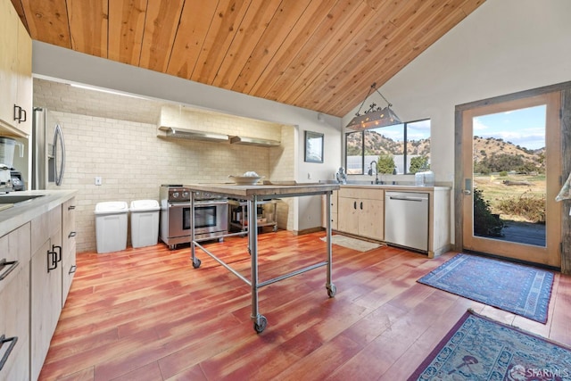 kitchen featuring light hardwood / wood-style floors, pendant lighting, appliances with stainless steel finishes, and high vaulted ceiling