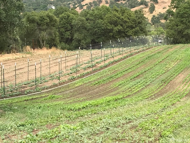 view of yard with fence and a rural view