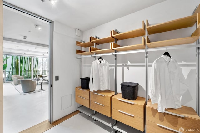 spacious closet featuring light wood-type flooring