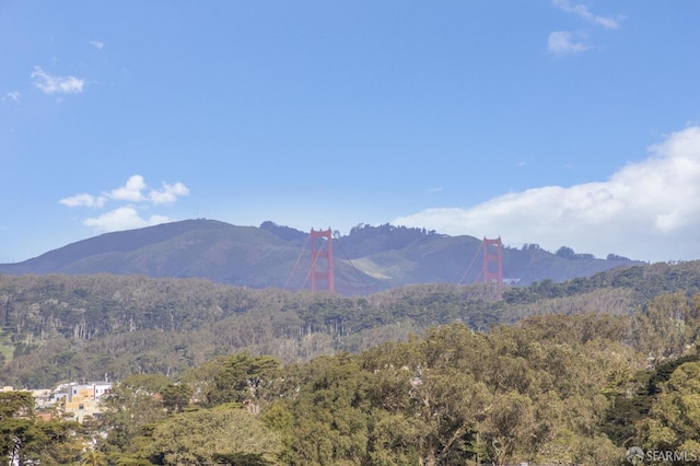 property view of mountains with a view of trees