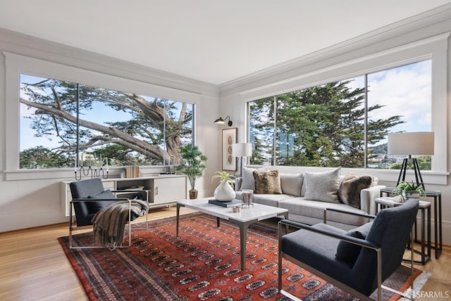 interior space featuring wood finished floors and crown molding