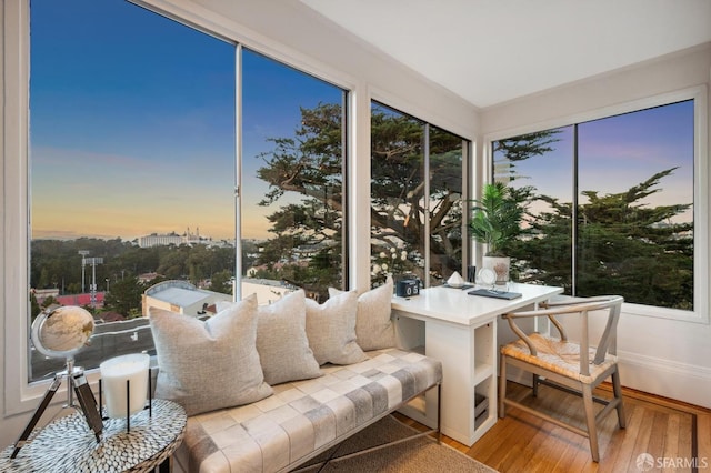 sunroom with a wealth of natural light