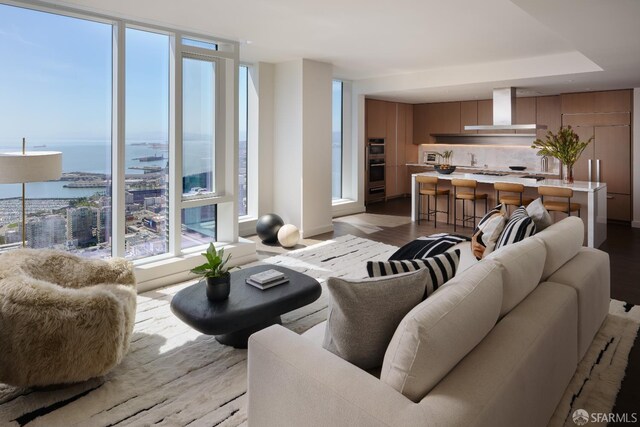 488 Folsom St Unit 5501, San Francisco, CA 94105 - living room featuring light wood-style flooring and a water view