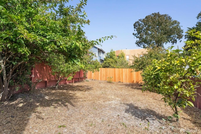 363 Prague St, San Francisco, CA 94112 - view of yard