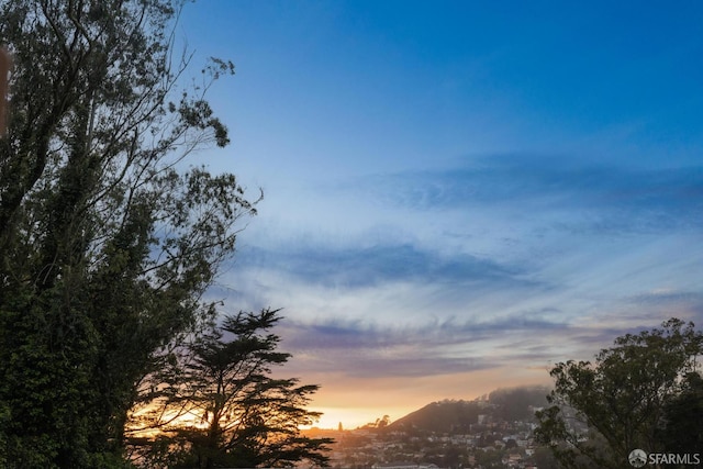 161 Dalewood Way, San Francisco, CA 94127 - photo 74