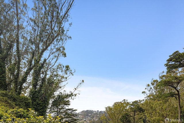161 Dalewood Way, San Francisco, CA 94127 - photo 70