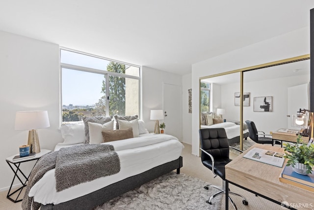 bedroom featuring carpet flooring and a closet