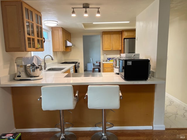 kitchen featuring baseboards, glass insert cabinets, a peninsula, under cabinet range hood, and a sink