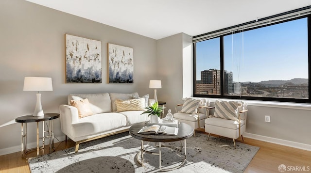 living room with a city view, wood finished floors, and baseboards