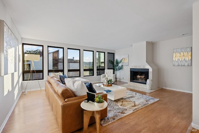 living room featuring light hardwood / wood-style floors