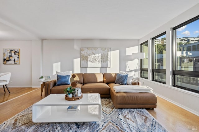 living room featuring light wood-type flooring