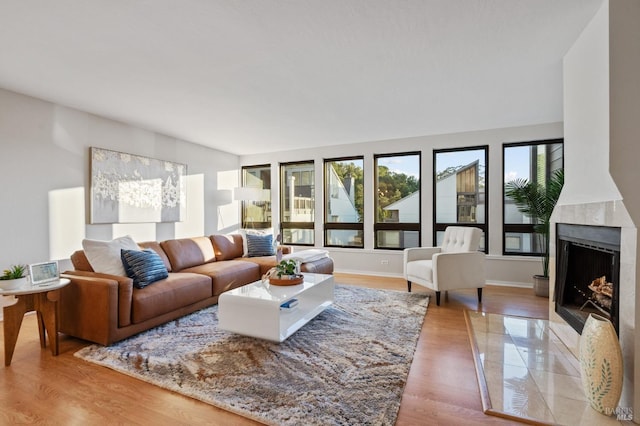 living room featuring wood-type flooring