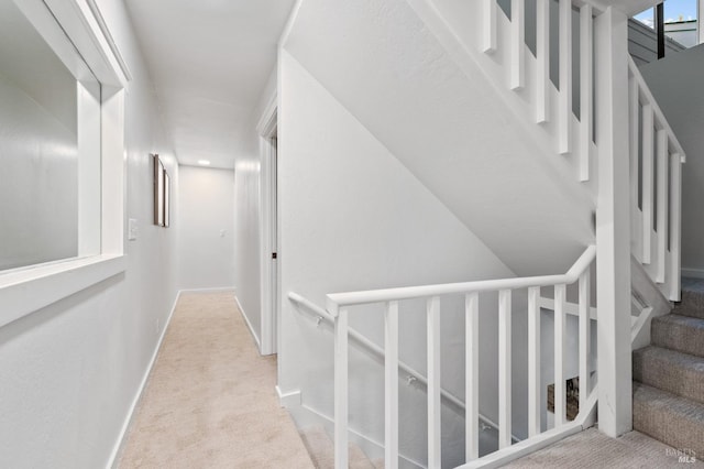 stairway featuring carpet flooring