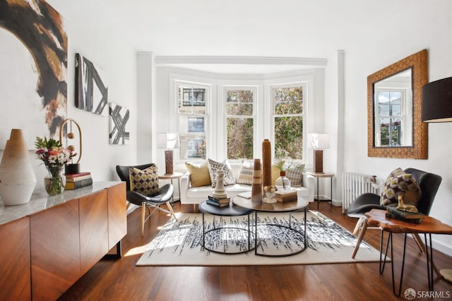 living area with dark wood-type flooring and radiator