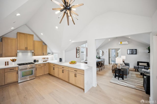 102 Baker St Unit A, San Francisco, CA 94117 - kitchen with high end stainless steel range, a peninsula, lofted ceiling, open floor plan, and under cabinet range hood
