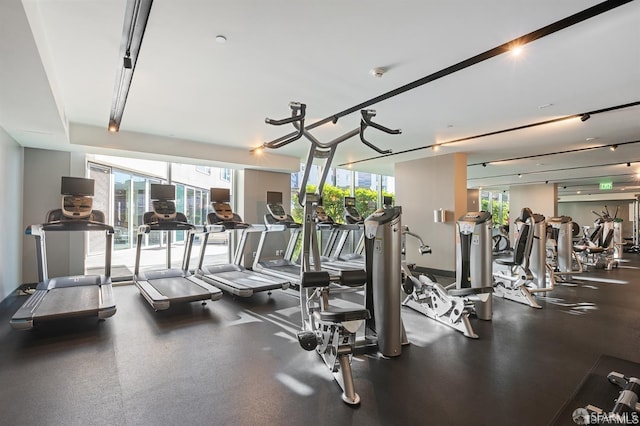 exercise room with a wealth of natural light