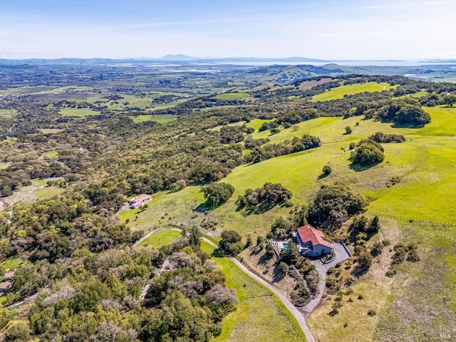 drone / aerial view featuring a mountain view