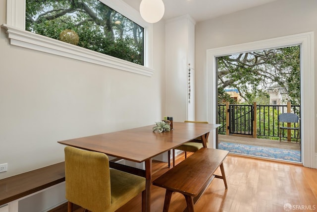 719-721 Shotwell St, San Francisco, CA 94110 - dining area with light wood finished floors