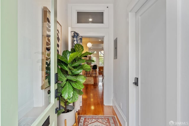 719-721 Shotwell St, San Francisco, CA 94110 - hall featuring wood finished floors, electric panel, and baseboards